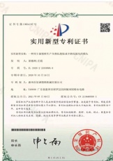一種用於廢塑料生產全熟化塑膠或半熟化膠頭的模頭(實用新型專利證書）